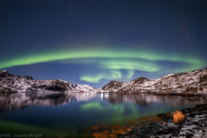 Nordlyset (2) i Reine. Photo Joanna Borgiel